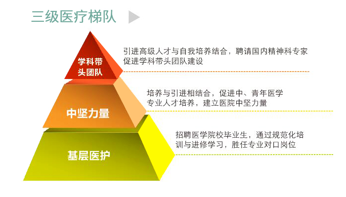 三级医疗梯队.jpg